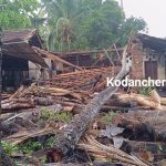 Kodancherry gets heavy rain causing damages