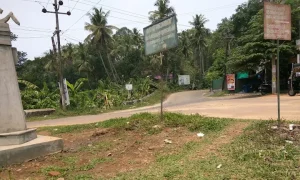 Victory celebrations in Poolavalli; several injured